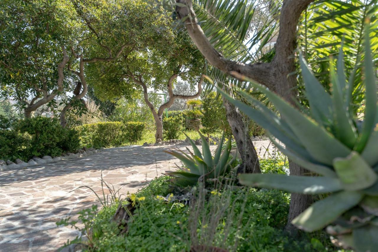 Villa Ariosa Vasto Exteriör bild